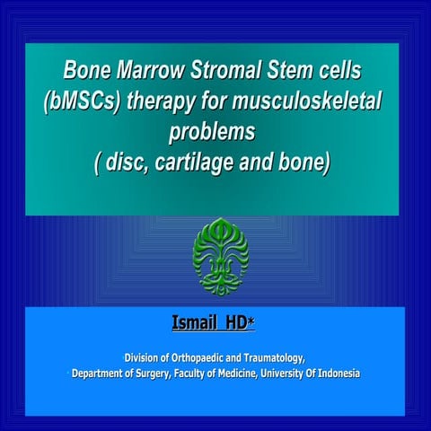 Bone Marrow Stromal Stem cells (bMSCs) therapy for musculoskeletal problems ...
