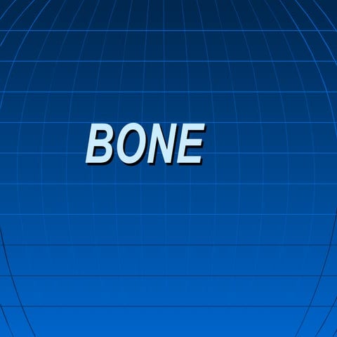 Bone new-48