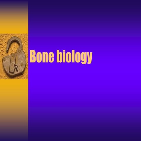 Bone Biology