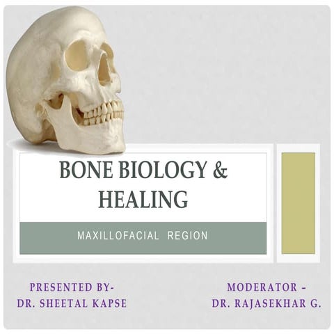 Bone biology and bone healing