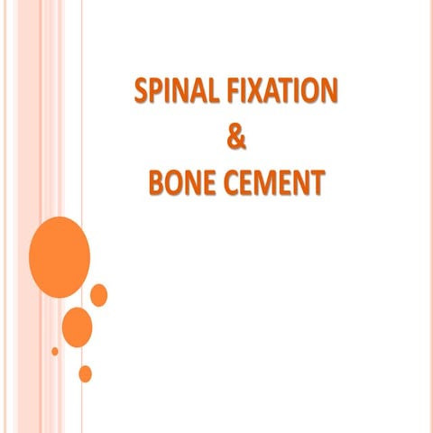 Bone cement and spinal fixation