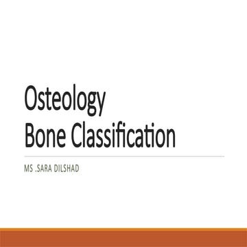 bone classification bone classification .pptx