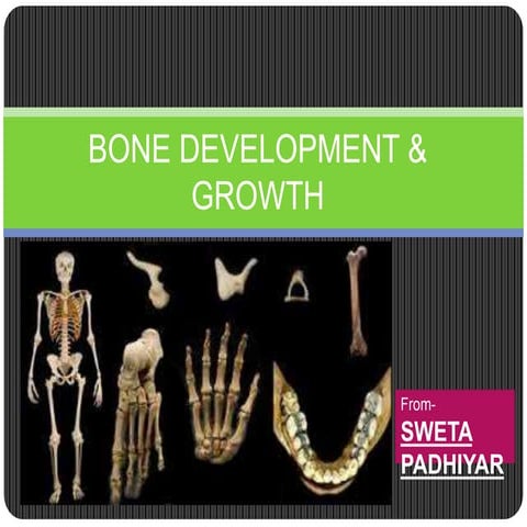 Bone development & growth