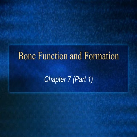 Bone function and_formation_2009 | PPT