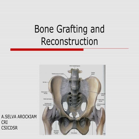 Anterior iliac crest | PPTX