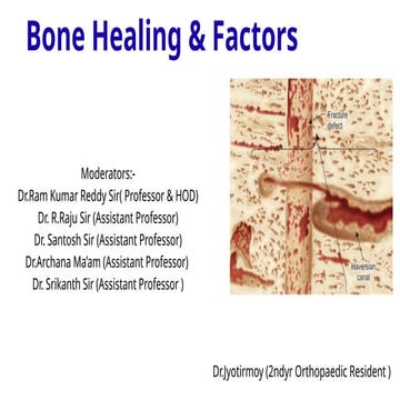 Comprehensive Overview of Bone Healing Processes and Influencing ...