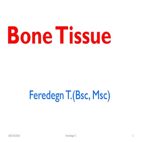 bone histology.pptxdddddddddddddddddddddddddddddddddddddddddddddddddd