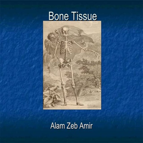 Bone histology  amir