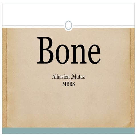 Bone introduction 2