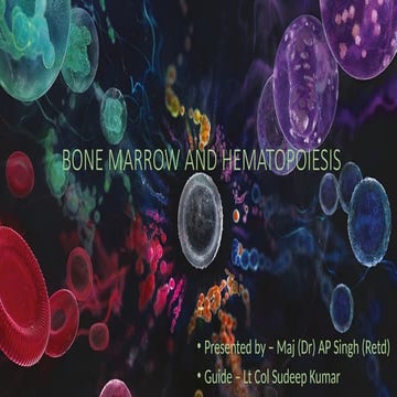 BONE MARROW & HEMATOPOIESIS..................pptx