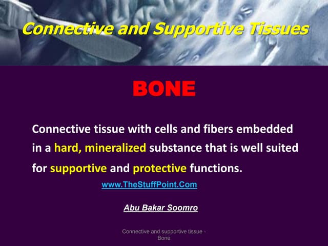 Bone 