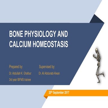 Bone physiology and calcium homeostasis