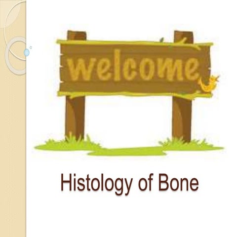 Bone ppt
