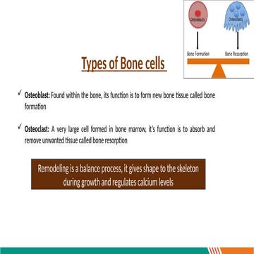 Bone Remodeling explanation in the human body.pptx