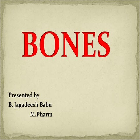 Bones