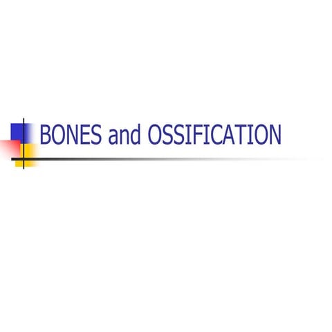 BONES.ppt