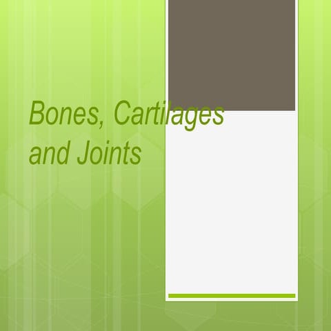 Bones and cartilage