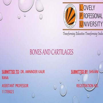 Bones and cartilages | PPTX