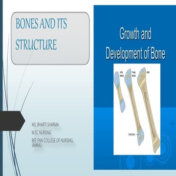 Bones and its structure in detail with  two different form of bone formation