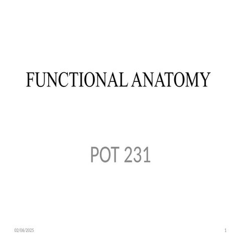 BONES AND JOINTS OF THE SPINE, VERTEBRAE.pptx