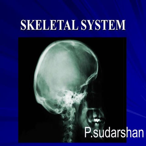 skeletal system and  bones