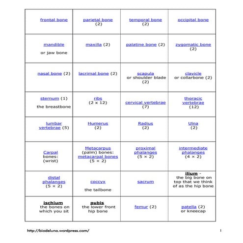 Bones flashcards biodelunaengsp | PDF