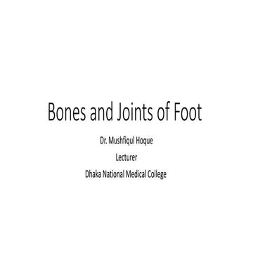 Bones of foot