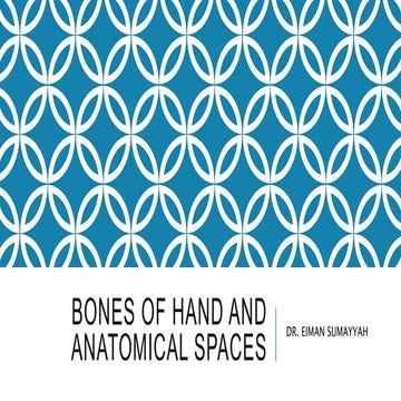 Bones of hand and anatomical spaceas