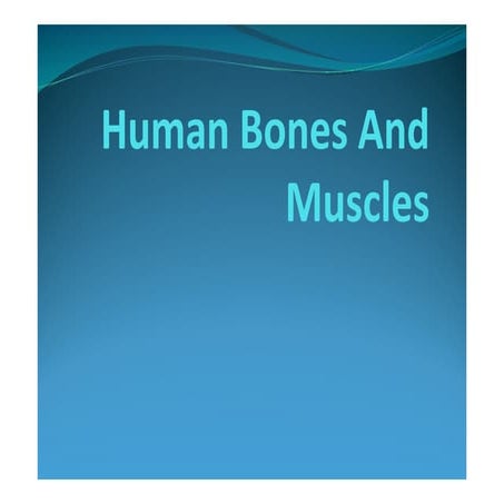 Bones of human body.pdfx