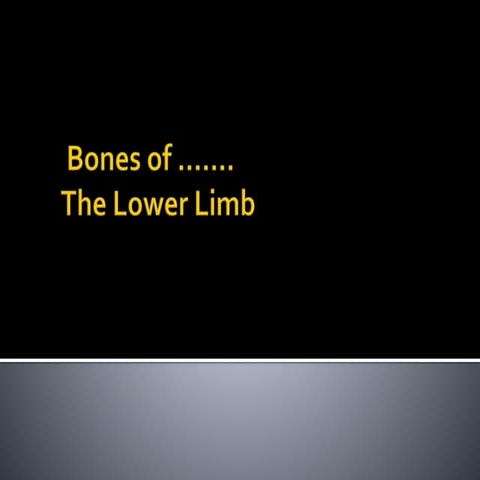 bones of  Lower Limb. bones of  Lower Limb.