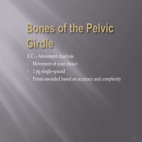 Bones of the pelvic girdle