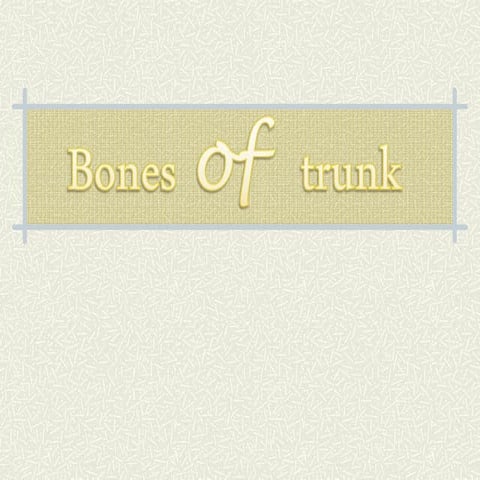 bonesoftrunk.,trunk, anatomy,,,,,,,,pptx