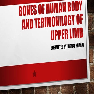 Bones of upper limbs & amp; radiographic terminology
