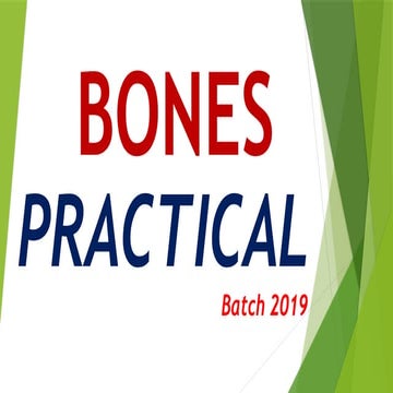 BONES Pract.............................