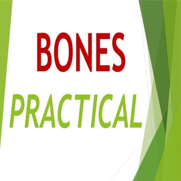 Bones Revision.pptx.......................................