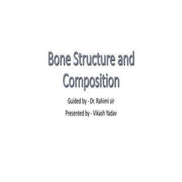 Bone Structure and Composition.pptx