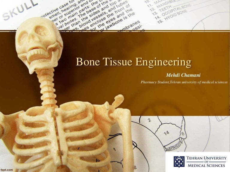 bone-tissue-engineering