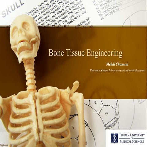 Bone tissue engineering