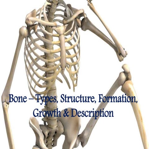 Bone types, Structure, Formation, Growth & Description