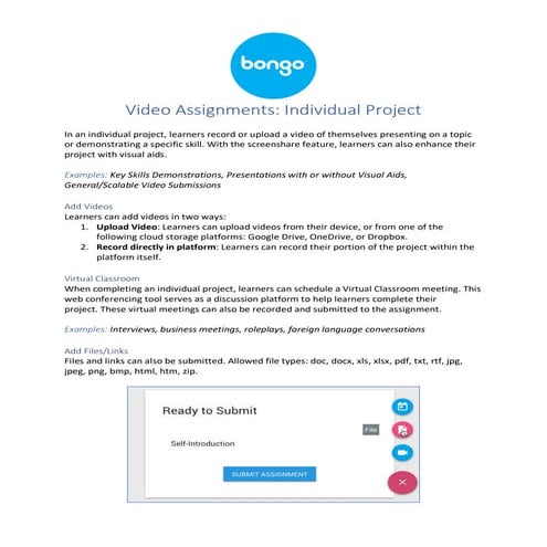 Bongo Video Assignments Handout