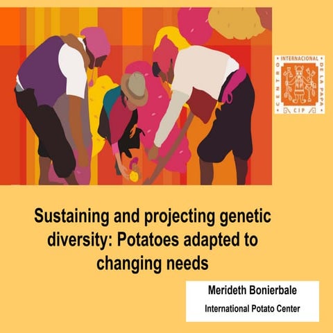 Sustaining and projecting genetic diversity: Potatoes adapted to changing needs