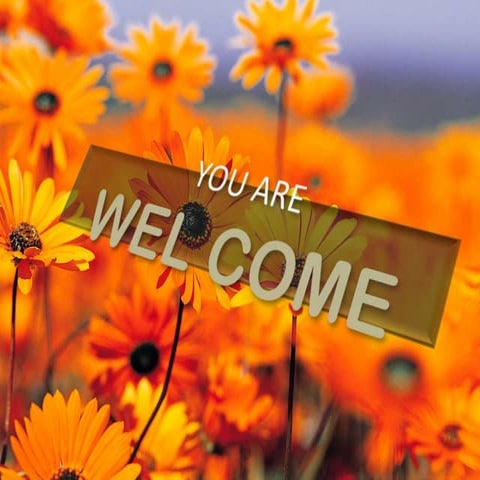 Bonsai establishment and maintainance by ravikumar JN