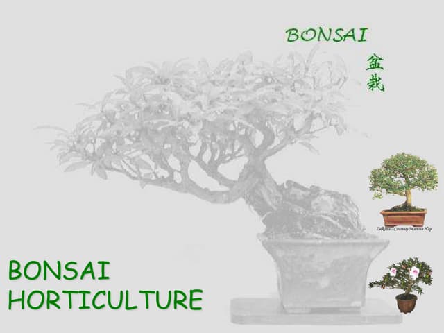 Bonsai Horticulture