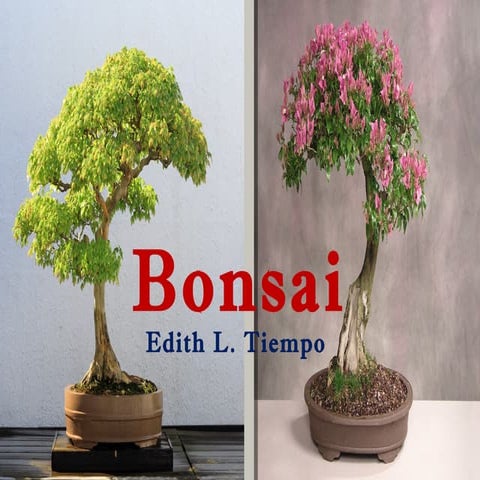 Bonsai by Edith L. Tiempo