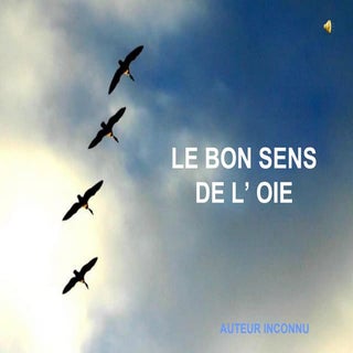 Bon sens de_l'oie hs