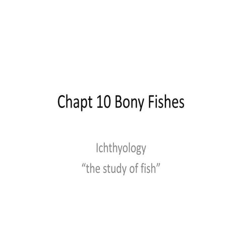 Bony fish powerpoint