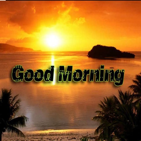 Bony orbit and its contents