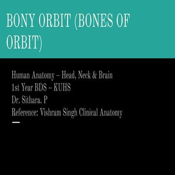 Comprehensive Overview of the Bony Orbit: Anatomy, Bones, and Clinical ...