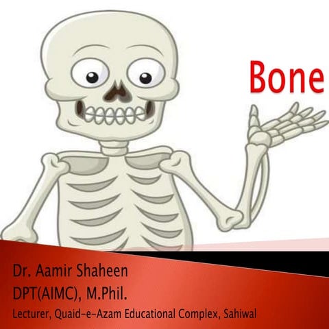 Bony Tissue.pptx