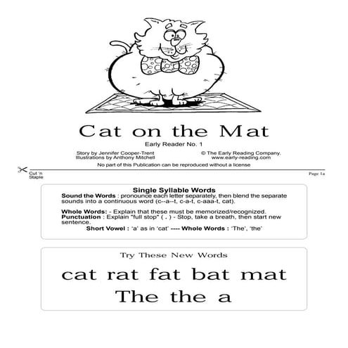 Book1   the cat on the mat